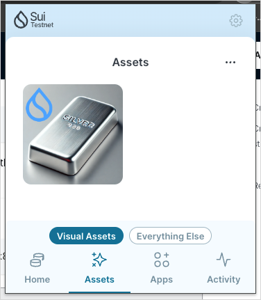 Visual Assets